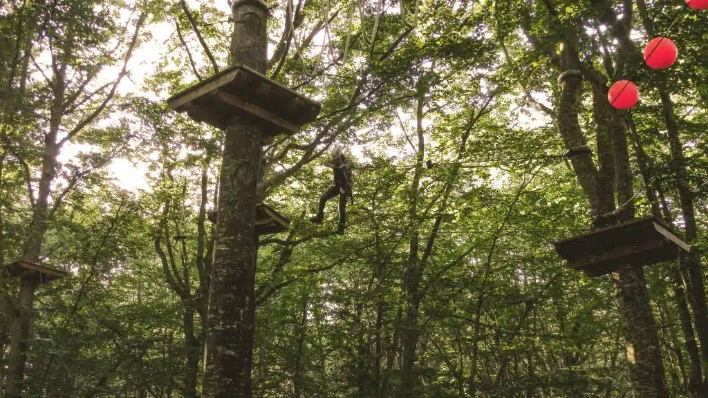 parc accrobranche