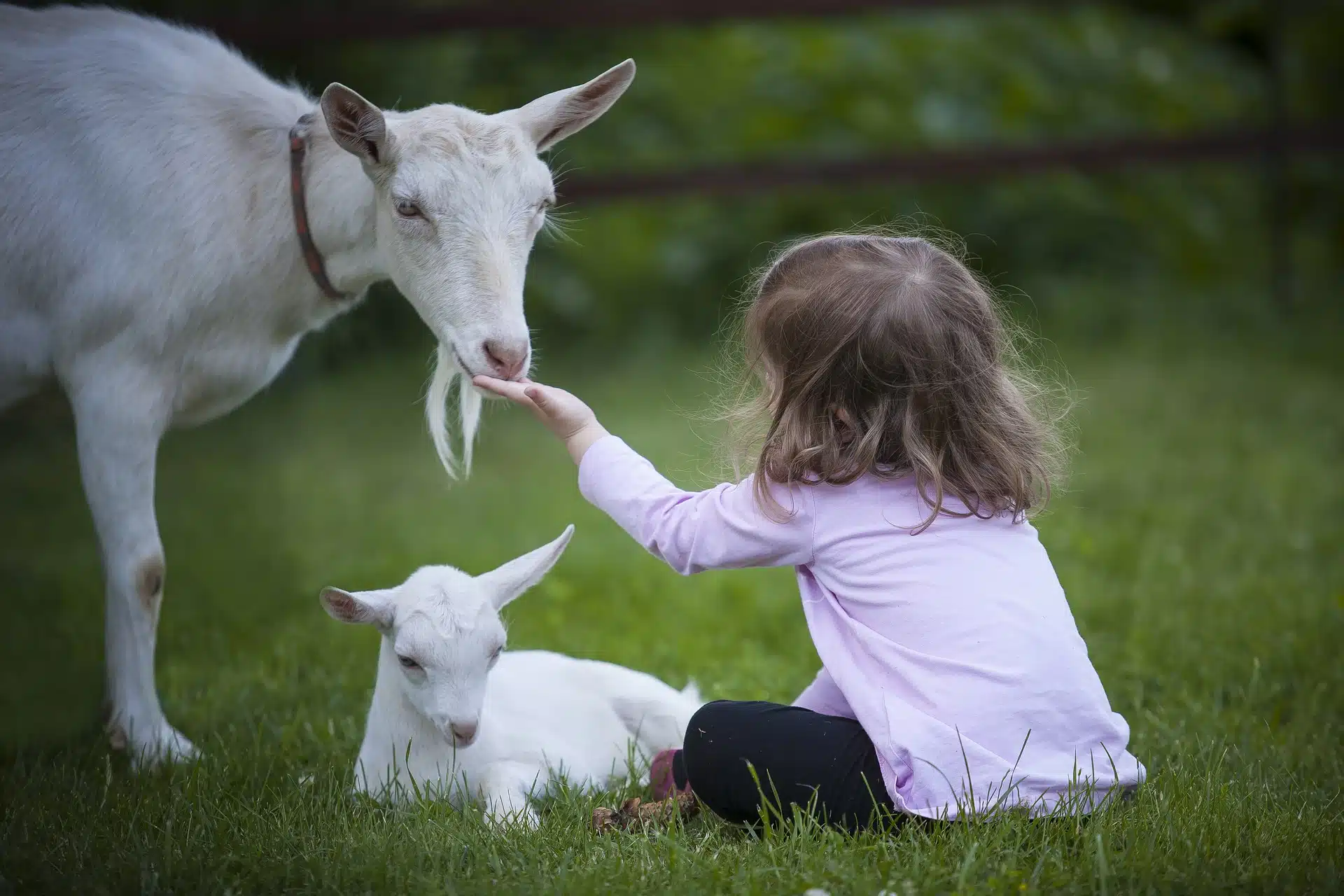 parcs animaliers de Rennes